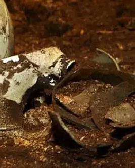 考古进行时(全集)